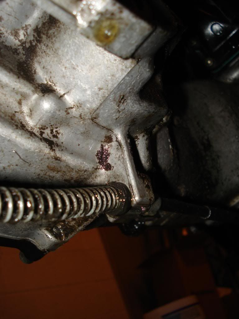 Zuma Final Drive Oil?